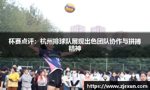 必一运动体育APP